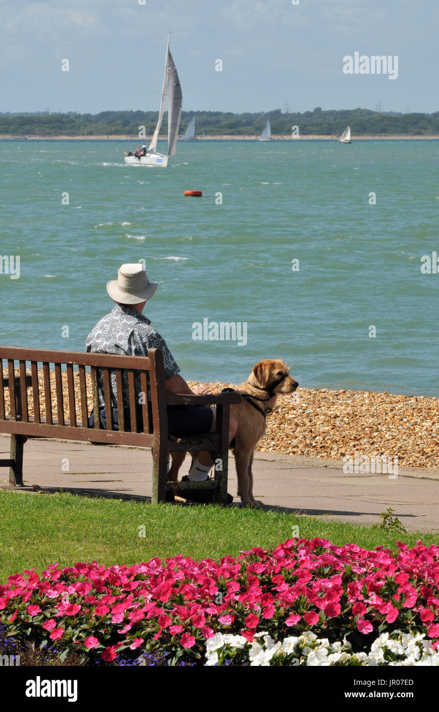 Un vecchio uomo o uomo anziano con il suo cane seduta su una panchina sulla spiaggia o sulla riva del mare a guardare la vela accanto a un letto di vivaci fiori colorati. Foto Stock