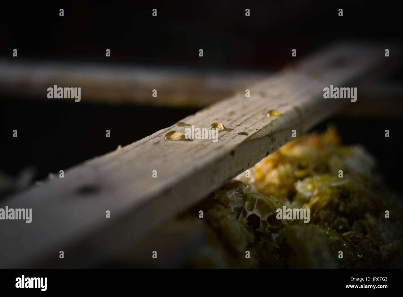 Gocce di miele Foto Stock