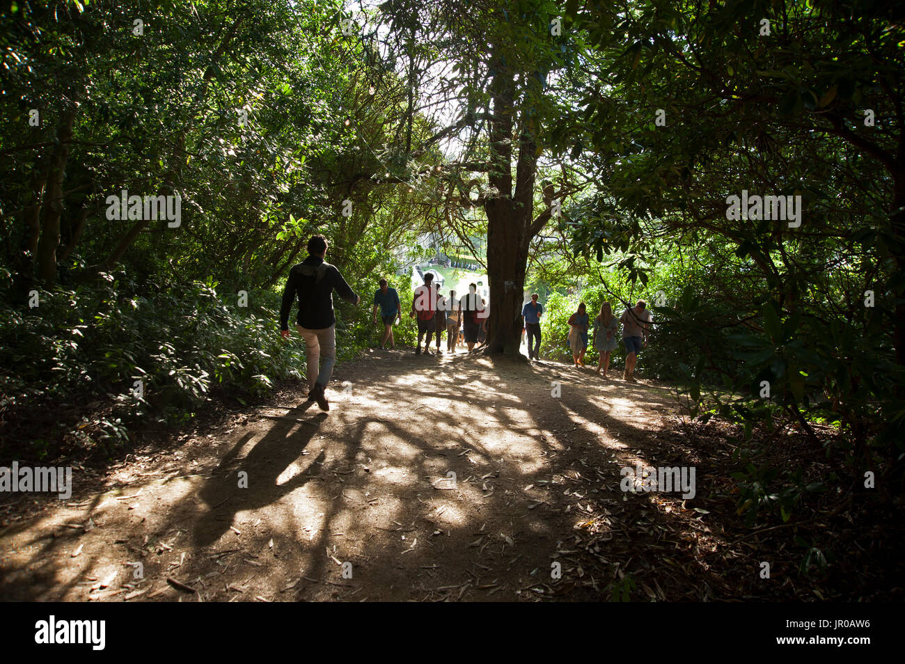 I frequentatori del festival a piedi tra le ombre degli alberi al porto Eliot Festival in Cornovaglia Foto Stock