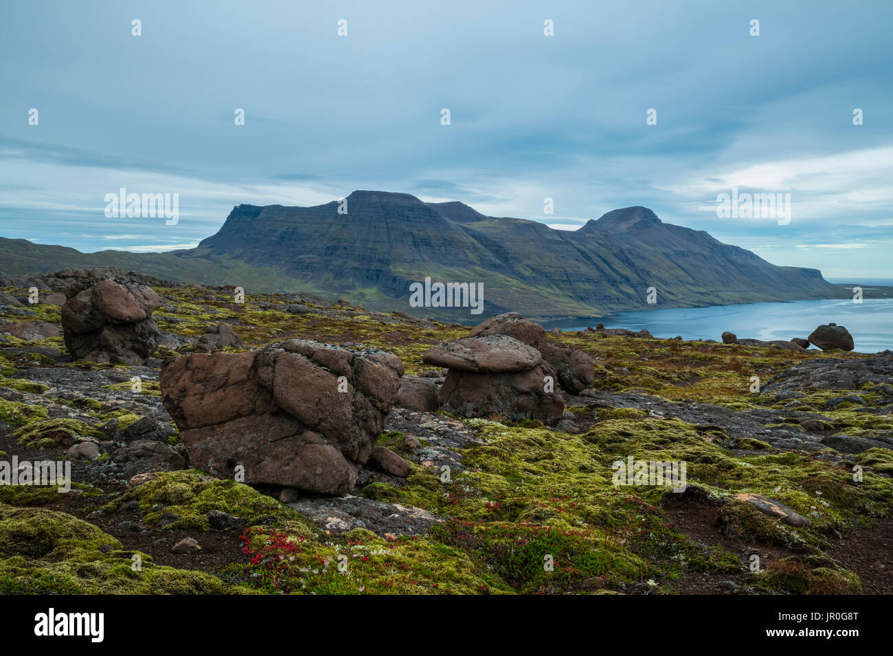 Il suggestivo paesaggio della Costa Strandir; Djupavik, Westfjords, Islanda Foto Stock