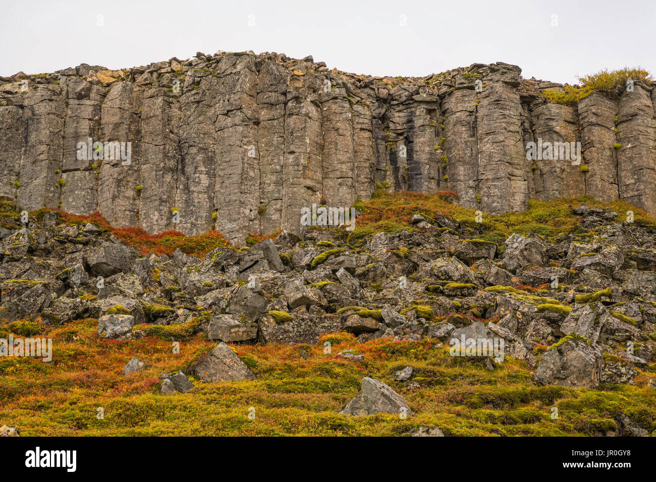 Colonne di basalto della vecchia lava In Penisola Snaefellsness; Islanda Foto Stock