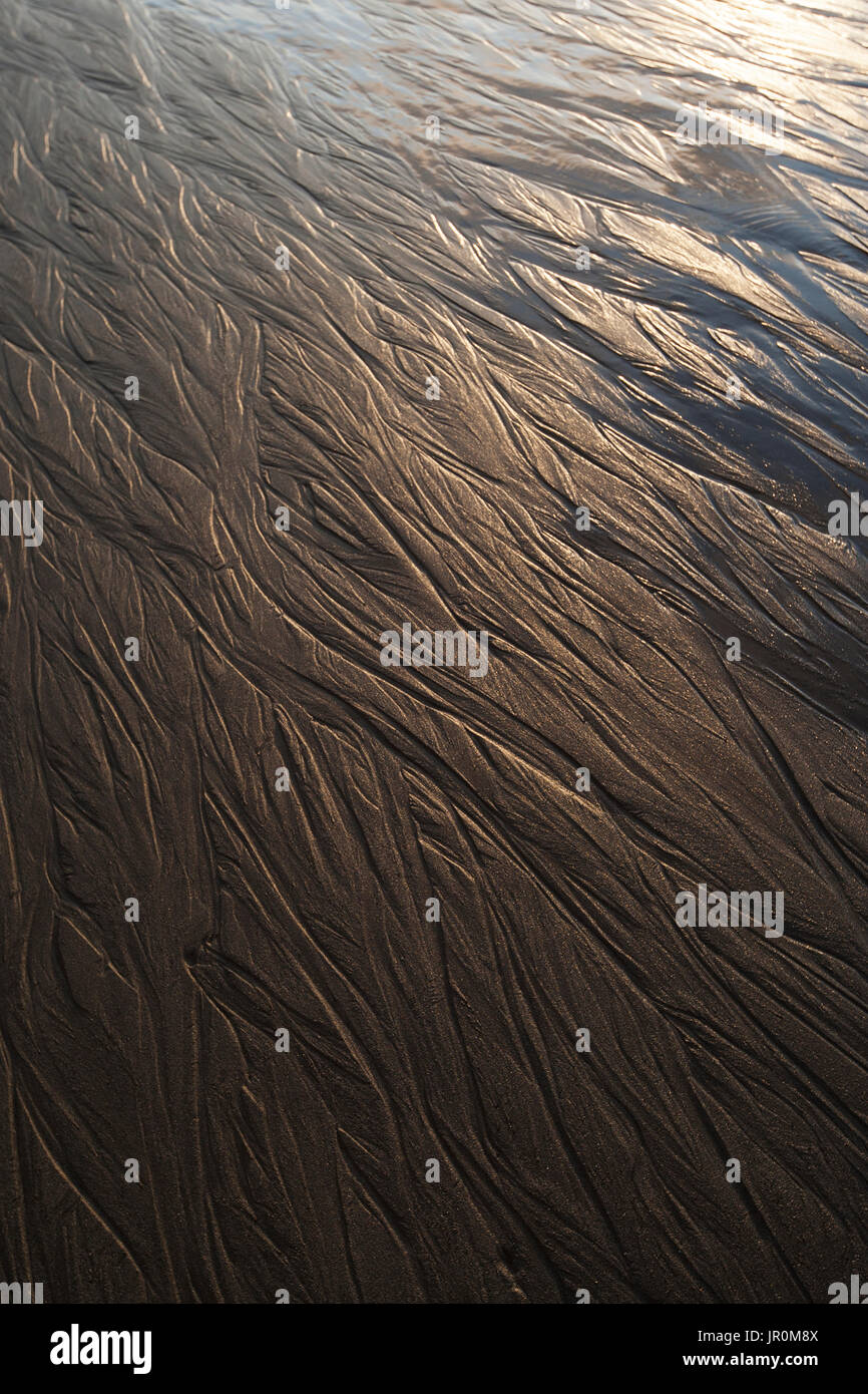 Pattern unici di linee sulla superficie della sabbia bagnata sul tidal flats; Alaska, Stati Uniti d'America Foto Stock