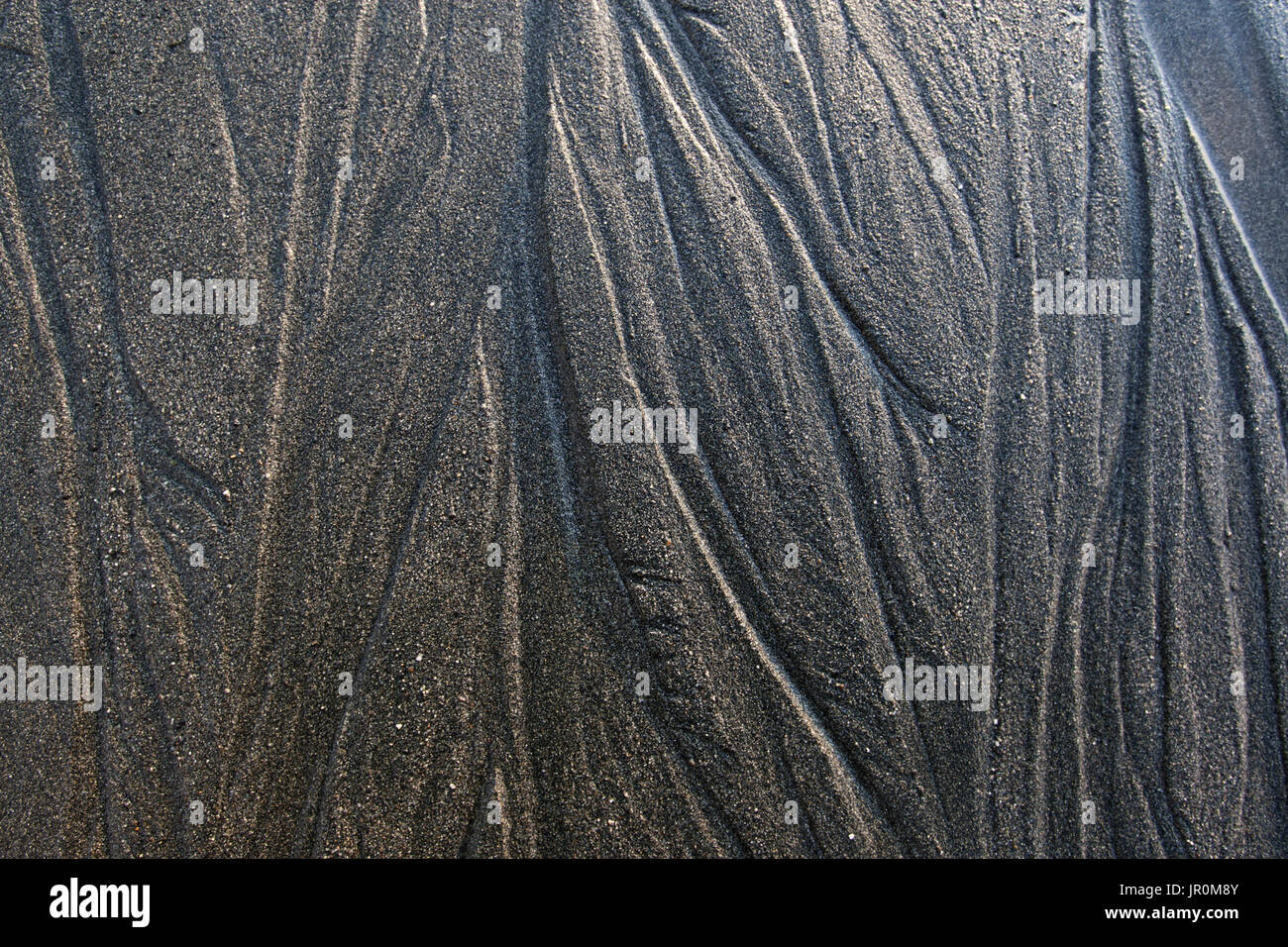 Extreme Close-Up del pattern unici di linee sulla superficie della sabbia bagnata sul tidal flats; Alaska, Stati Uniti d'America Foto Stock
