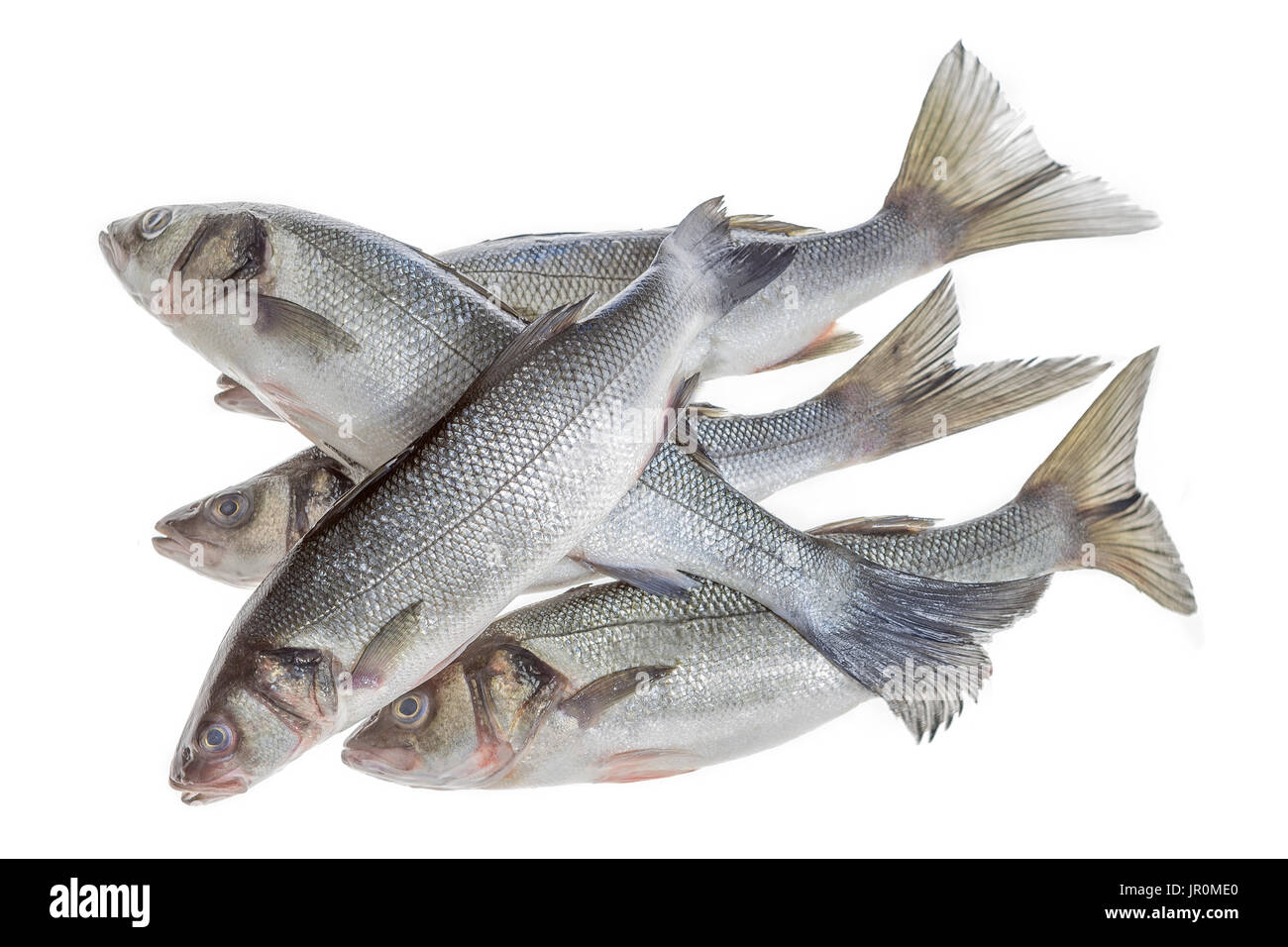 Diverse orate isolato su bianco immagine croped Foto Stock