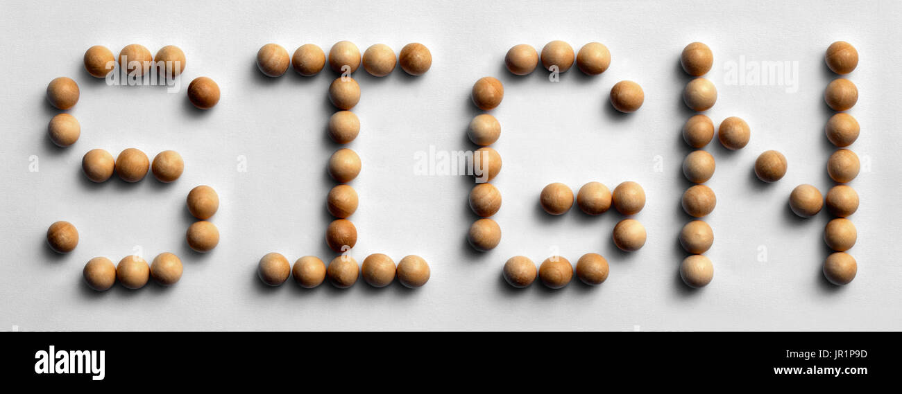 Fotografia della parola 'ign' enunciato il legno con perni a pressione Foto Stock