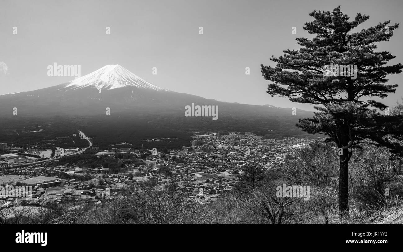 Alto contrasto bianco e nero paesaggio del Monte Fuji e una Lone Pine Tree in Giappone Foto Stock