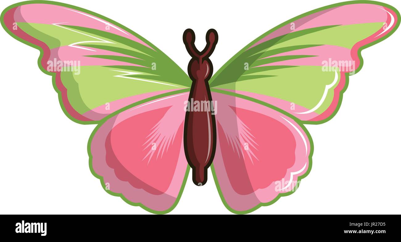 Esmeralda butterfly icona, stile cartoon Illustrazione Vettoriale