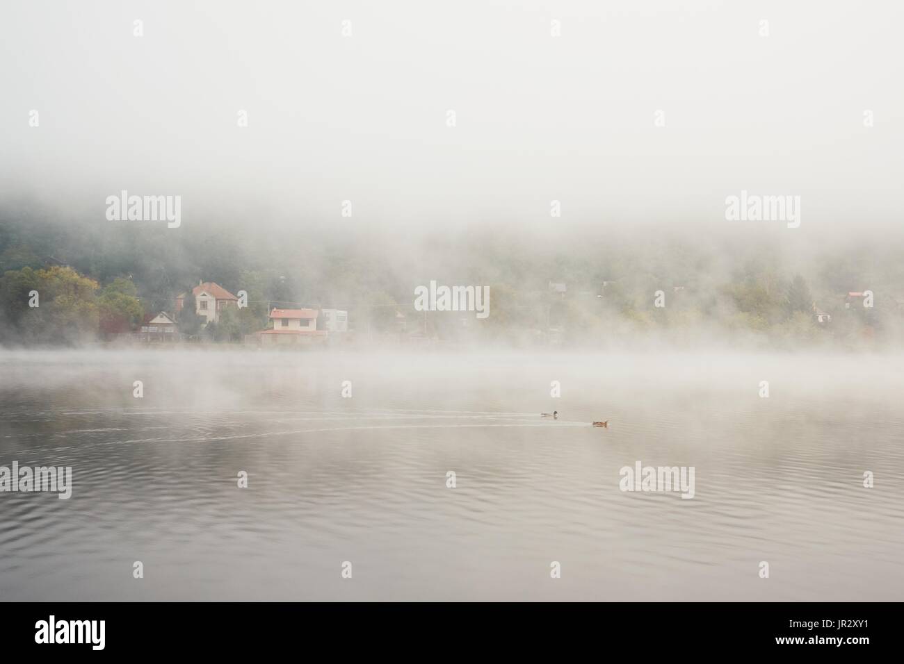 Paesaggio rurale nella misteriosa nebbia. Autunno in Repubblica Ceca. Foto Stock