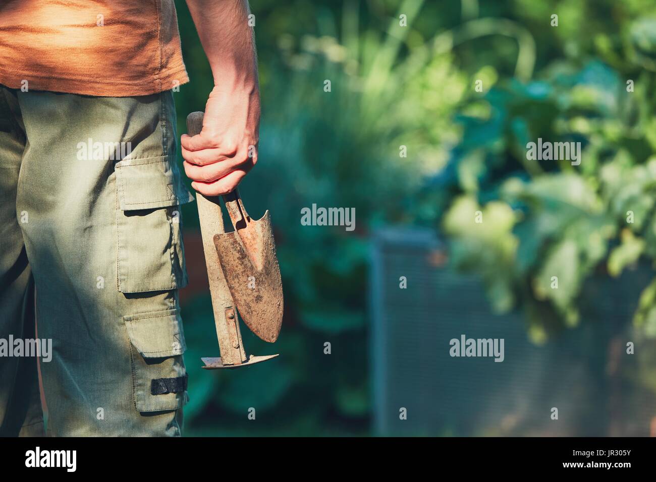Lavorare sull'orto. Giardiniere tenendo la mano cazzuola e piccola zappa. Foto Stock