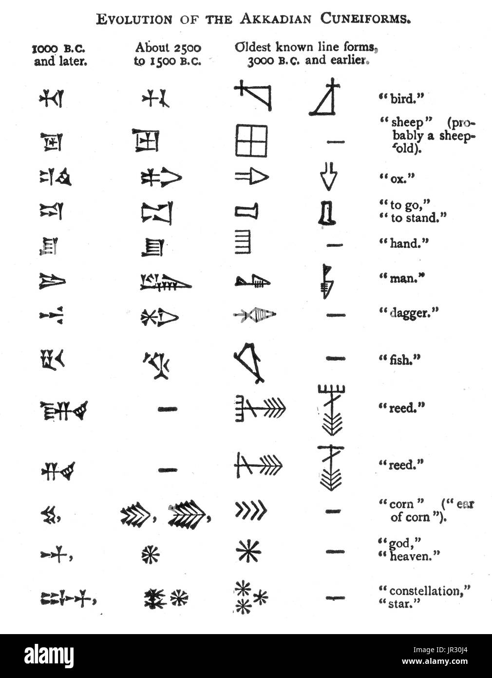 Evoluzione di accadico Cuneiforms Foto Stock