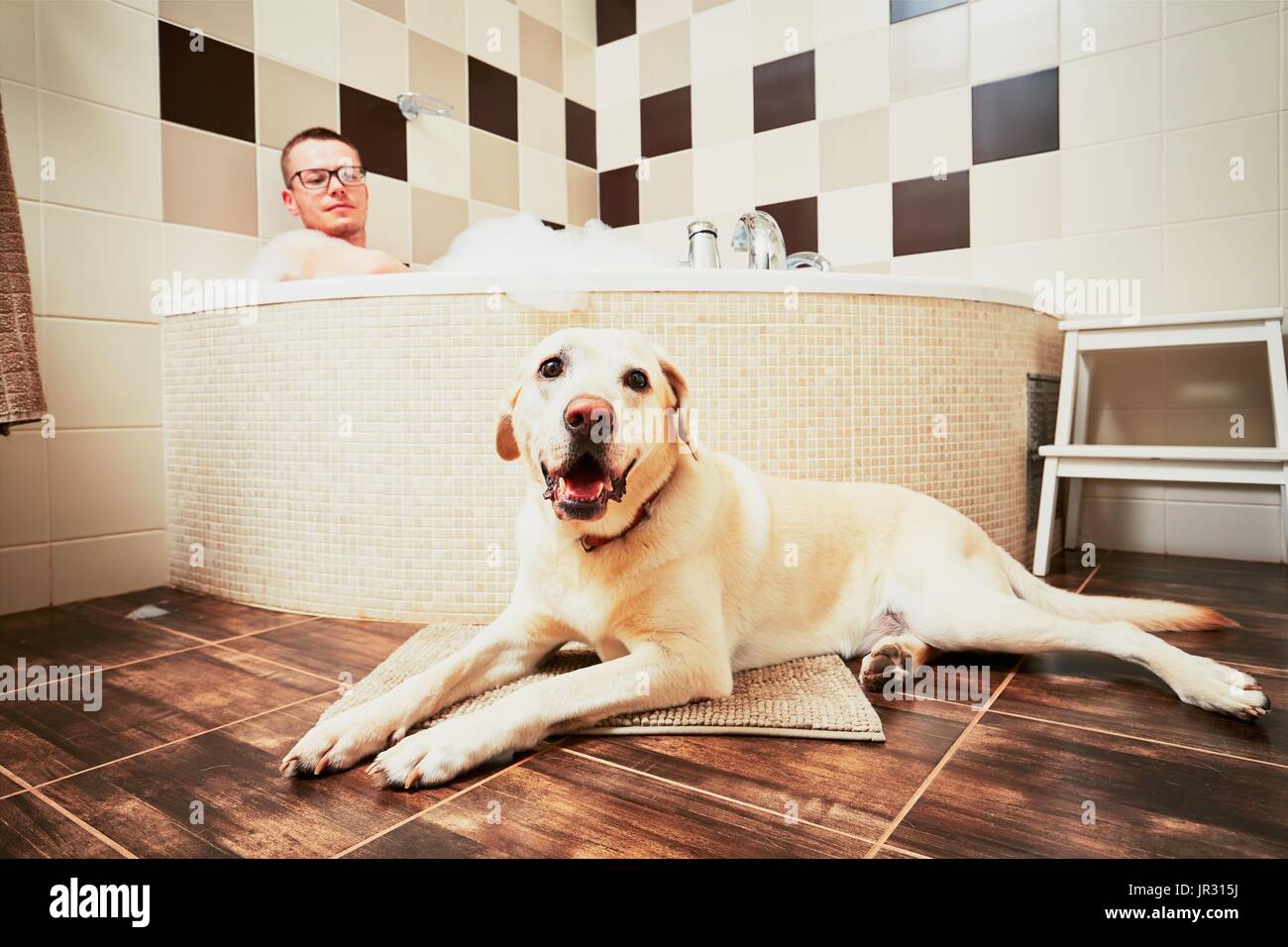Vivere con il cane. Giovane uomo relax nel bagno con il suo giallo labrador retriever. Foto Stock