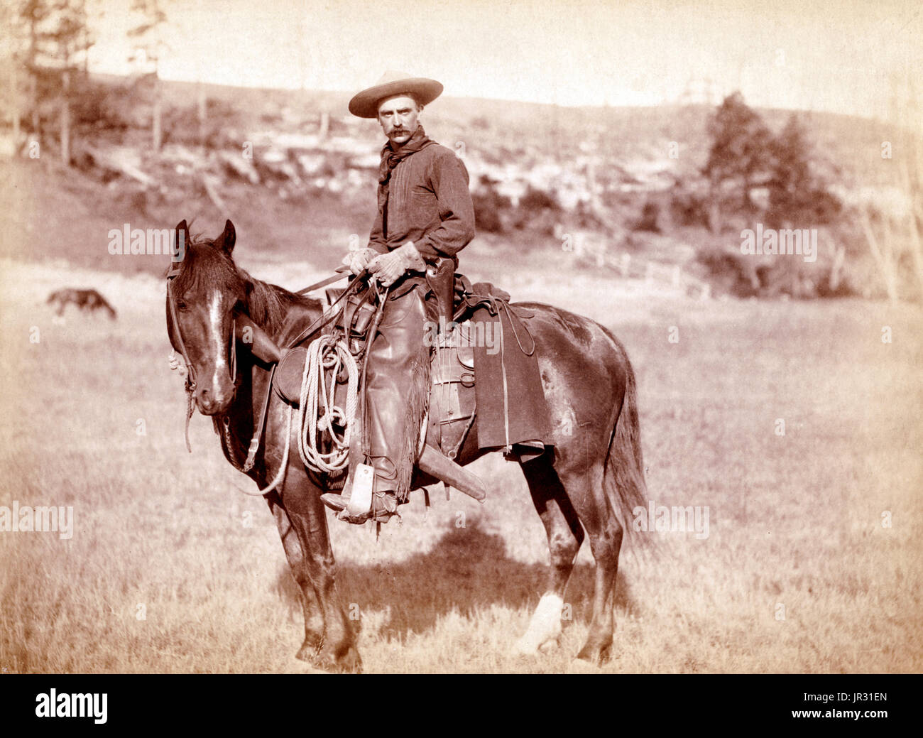 La storica cowboy americano del tardo XIX secolo si alzò da vaquero tradizioni del Messico settentrionale e divenne una figura di particolare rilevanza e di leggenda. Dalla fine del 1860, a seguito della guerra civile americana e l espansione dell industria dei bovini, ex soldati sia dall'Unione europea e la Confederazione è venuto ad ovest, in cerca di lavoro, come hanno fatto grandi numeri di inquieto uomini bianchi in generale. Un numero significativo di afro-americani anche liberti sono state tracciate a vita da cowboy, in parte perché non c'era abbastanza come molte discriminazioni in Occidente come in altri settori della società americana al momento. La ave Foto Stock