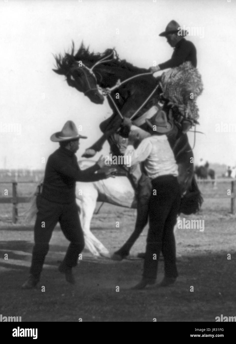 Cowboy del West Americano ha sviluppato una cultura personale dei propri, una miscela di frontiera e i valori di stile vittoriano che anche mantenuto la vestigia di cavalleria. Tali lavori pericolosi in condizioni di isolato di razza anche una tradizione di auto-dipendenza e individualismo, con grande valore dato all'onestà personale, esemplificato in canzoni e poesie. La media dei cowboy guadagnato circa un dollaro al giorno, più di cibo e, quando vicino alla casa ranch, un letto in il bunkhouse, solitamente una caserma-come edificio con una singola camera aperta. Strappi è un movimento eseguito da un cavallo in cui l'animale abbassa la sua testa e sollevare Foto Stock