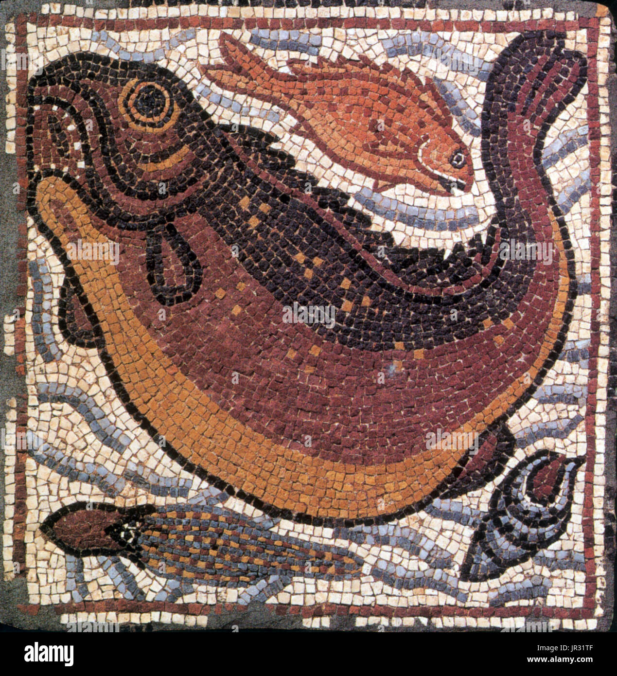 Mosaico bizantino, Fauna Marina. Theodorias (moderno Qasr Libia) era una città bizantina in Cirenaica, fondata nel 539 da parte dell'imperatore Giustiniano e chiamato in onore della moglie, l Imperatrice Teodora. La storia di Qasr Libia risale al periodo greco del IV secolo A.C. quando fu chiamato Olbia. Il complesso contiene due chiese: la chiesa orientale, scoperto nel 1957, e la chiesa occidentale, scoperto nel 1964. I mosaici sono stati scavati dalla vicina chiesa orientale dopo che esse sono state scoperte dagli operai libico. La raccolta contiene 50 pannelli, nella maggior parte dei casi di animali, dèi, dee, ninfe, Foto Stock