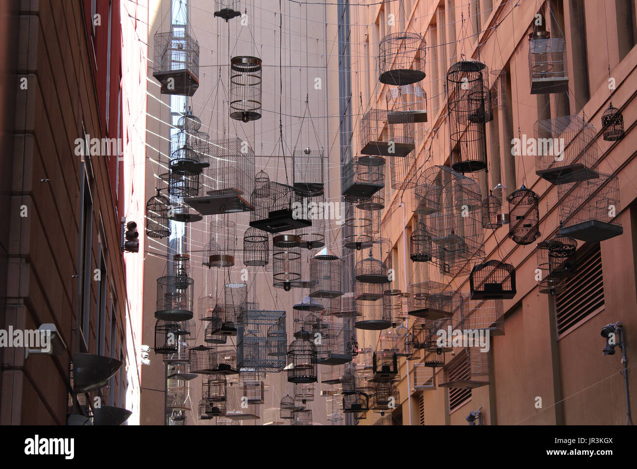 Birdcage installazione d arte a Sydney in Australia che illustra tutte le specie di uccelli ora estinto poiché insediamento europeo Foto Stock