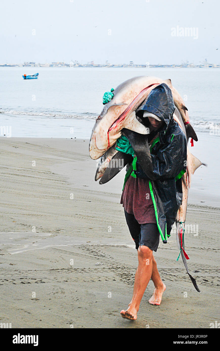 Pescatore con alcuni dei più grandi pesci sulle sue braccia. Manta. Ecuador. Foto Stock