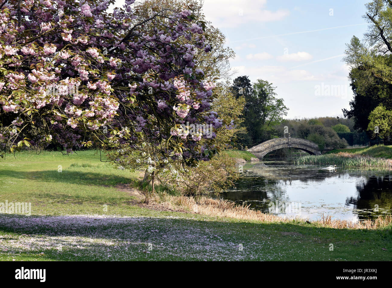 Ponte cinese al wrest park Foto Stock