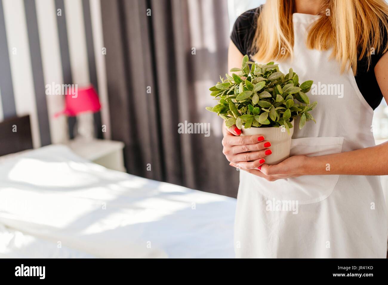 Donna in grembiule bianco azienda pianta di casa. Hotel di lavoro cameriera. Foto Stock