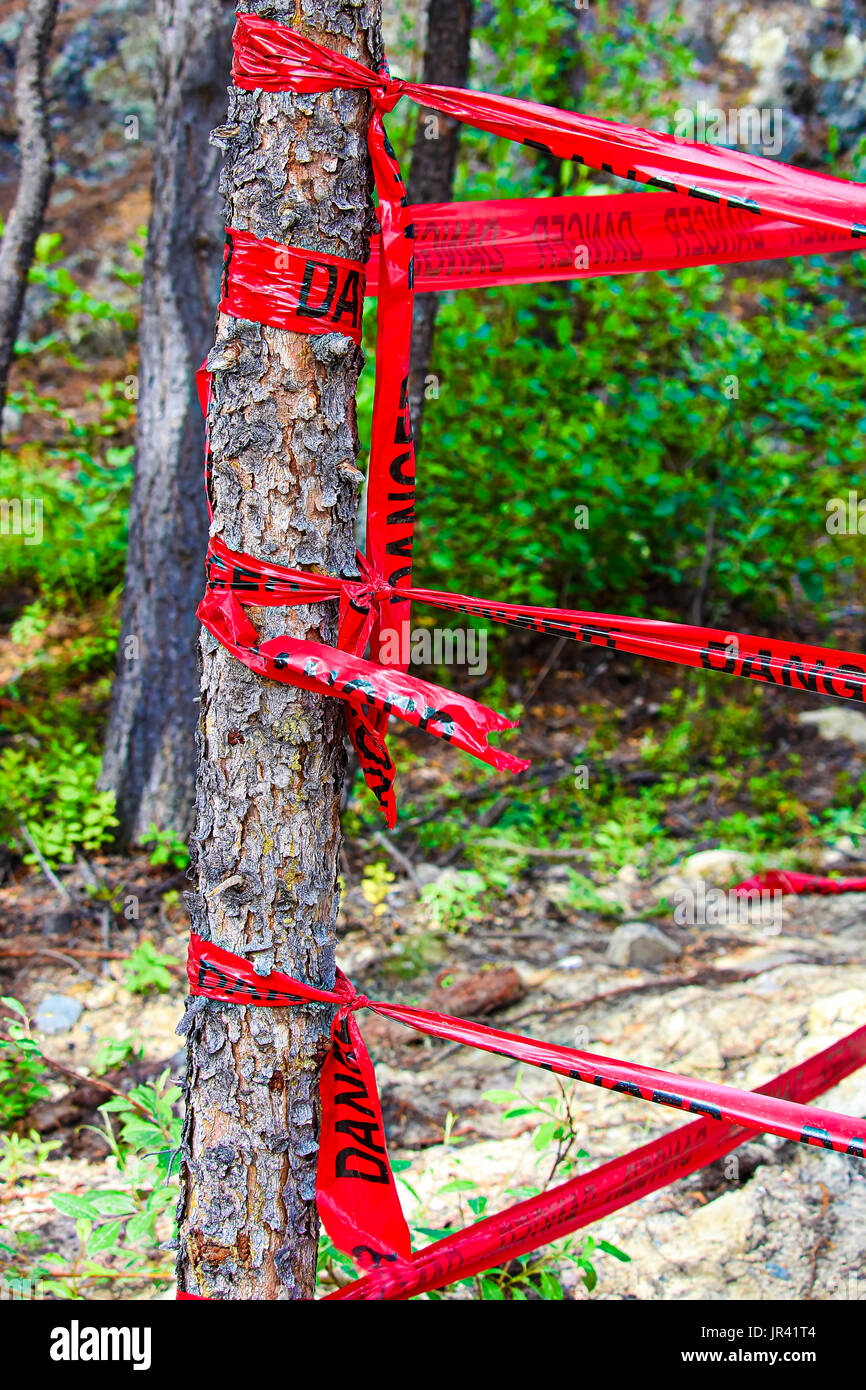 Pericolo Rosso il nastro avvolto intorno ad un albero. Foto Stock