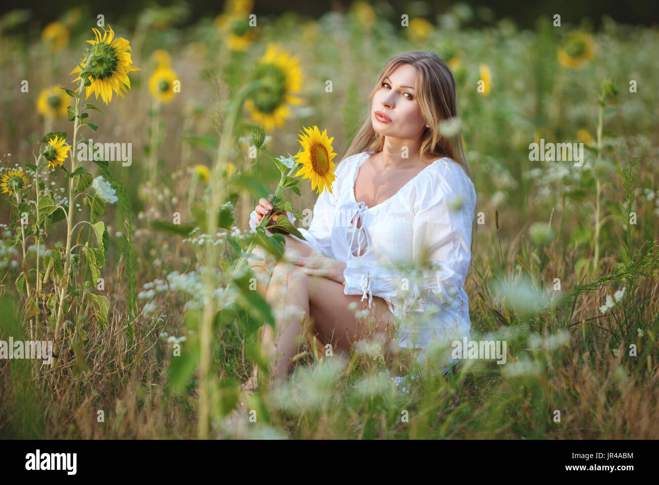 Giovane donna seduta in un campo tra girasoli, su un luminoso giorno d'estate. Foto Stock