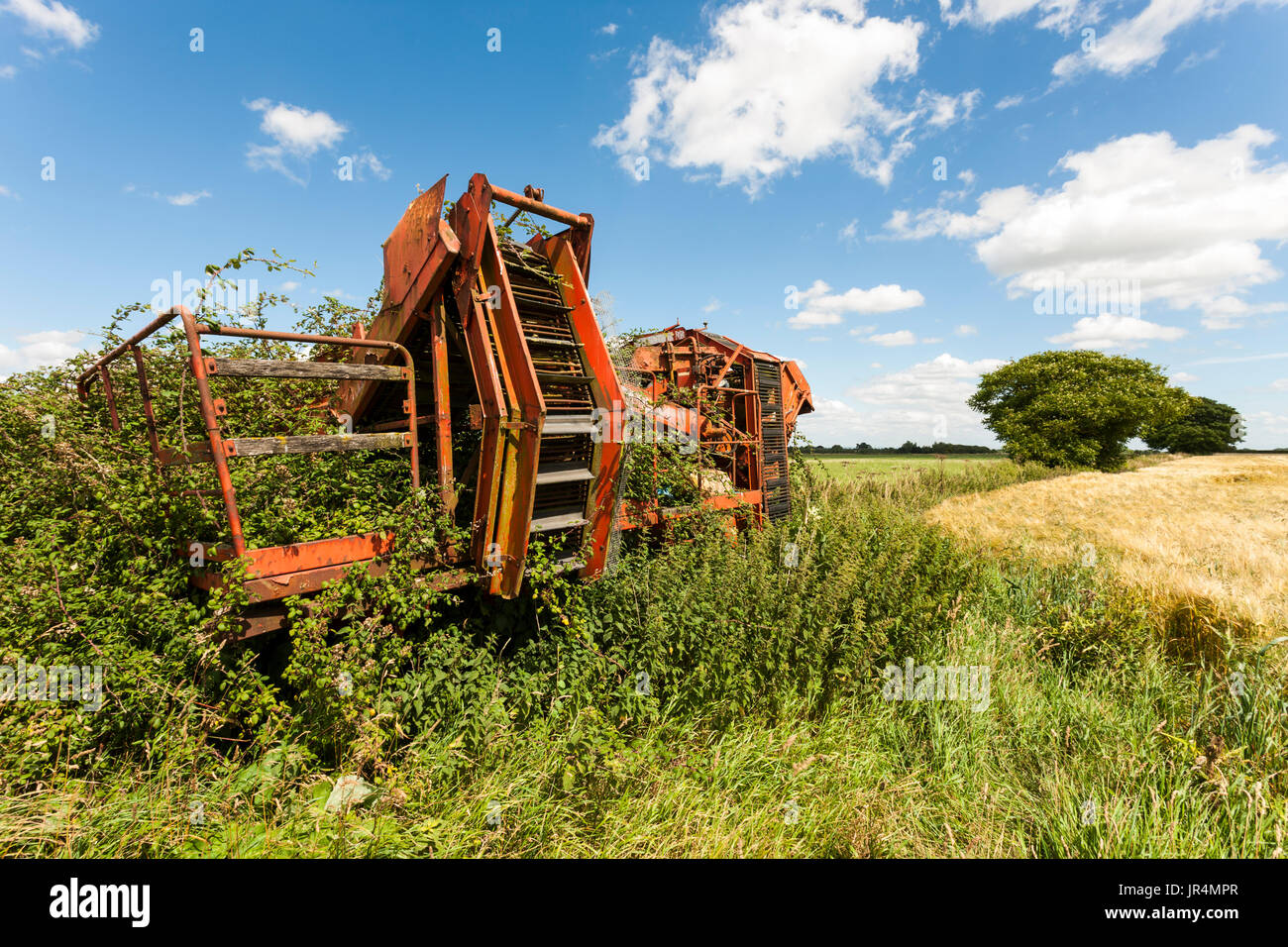 Un abbandonato Grimme Crusader Potato Harvester. Foto Stock