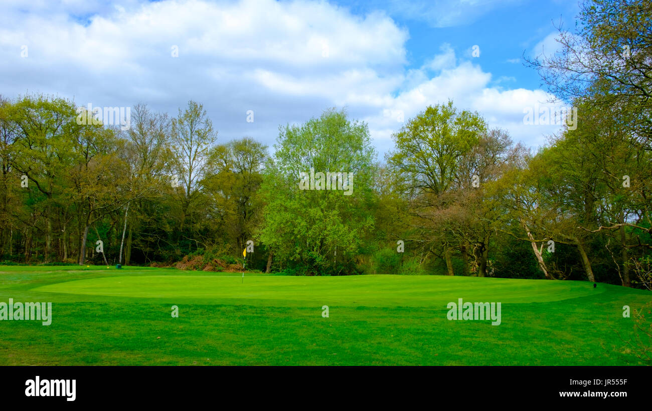 Putting green sul campo da golf di Wimbledon Common, Londra, Inghilterra, Regno Unito Foto Stock