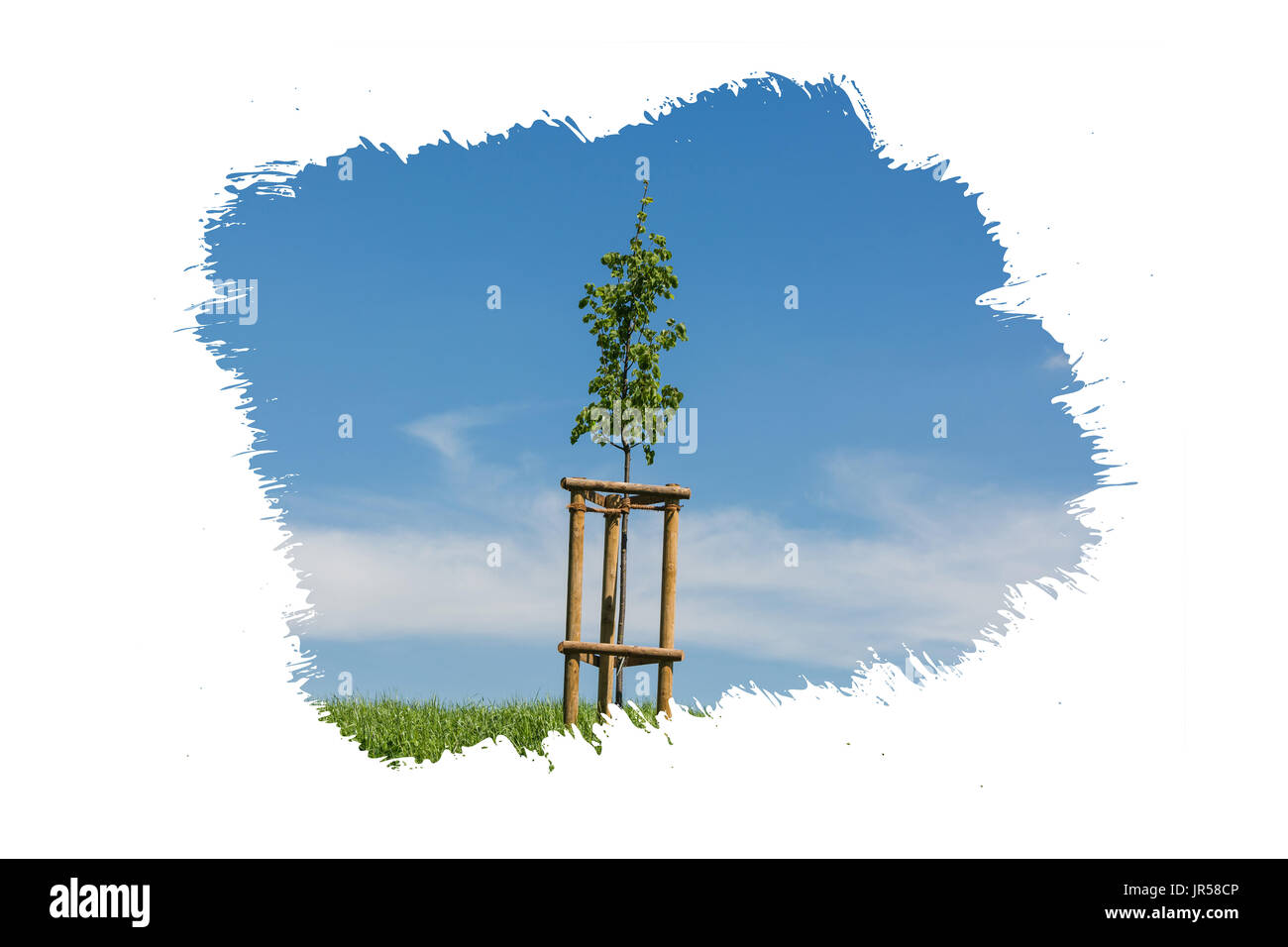 Immagine artistica intaglio con la tecnica della serigrafia di un piccolo albero giovane su un verde prato contro il cielo blu. Foto Stock