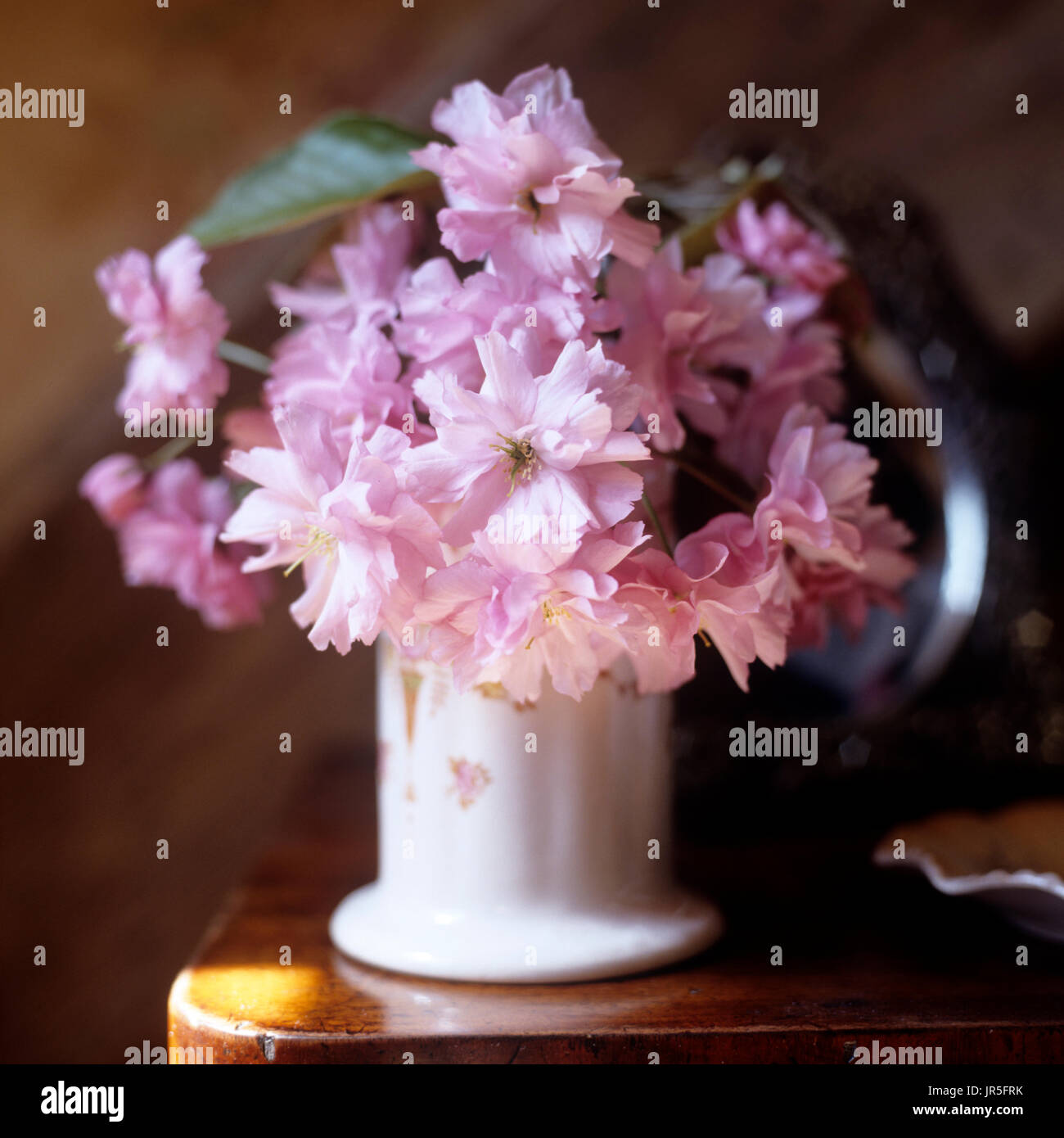 Vaso di fiori di colore rosa Foto Stock
