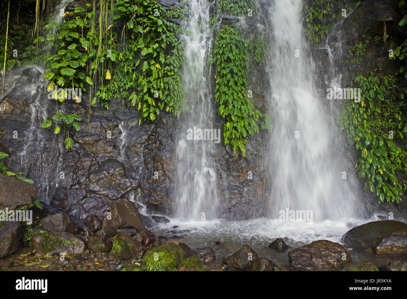 Twin cascata a cascata verso il basso di un roccioso cliffside coperto con tropicale e vegetazione verde. Foto Stock