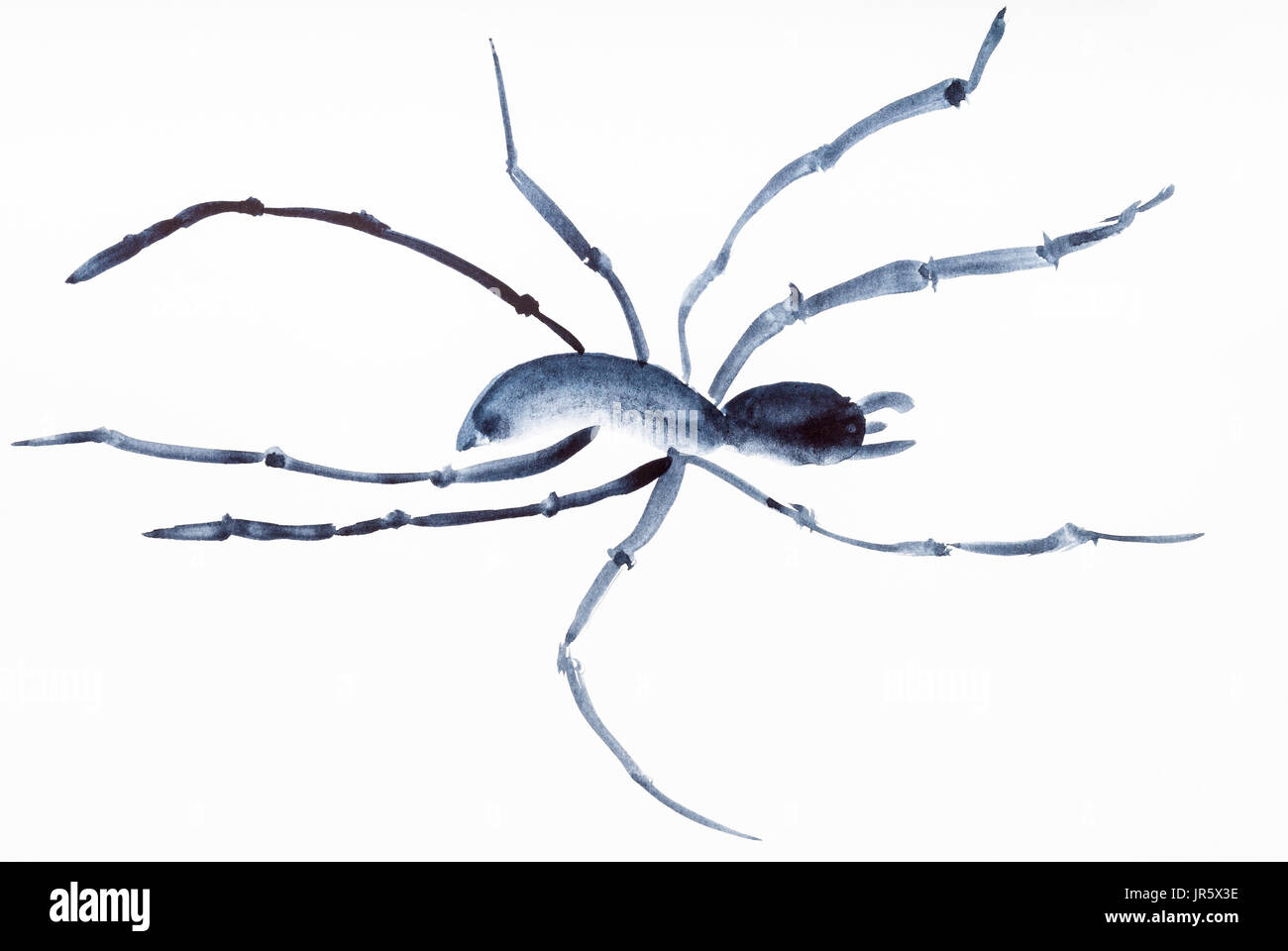 La formazione di disegno in stile suibokuga con vernici ad acquerello - Schizzo di ragno sul libro bianco Foto Stock