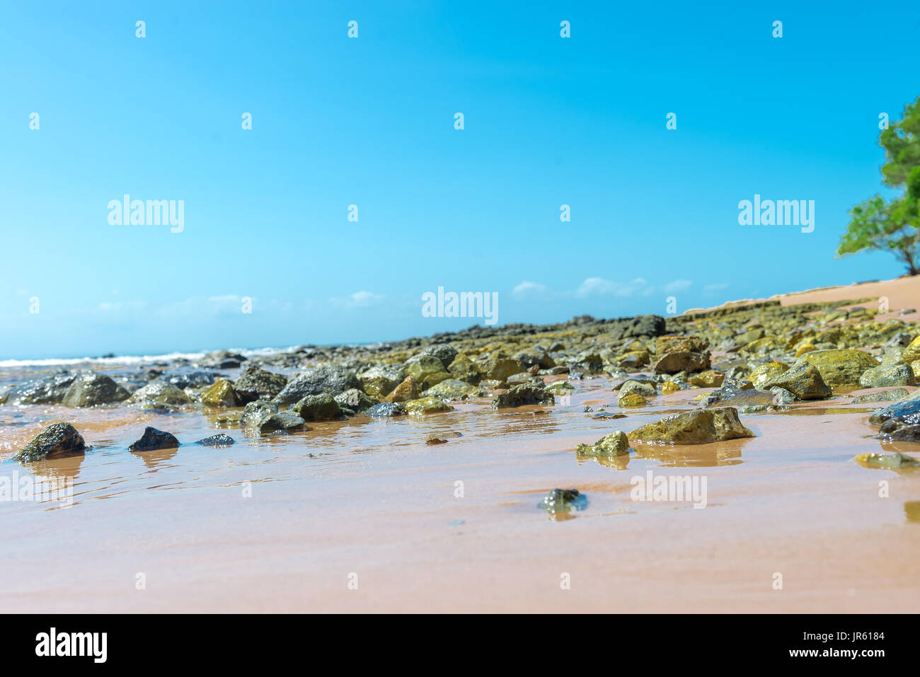 Spiaggia di texture di superficie sabbiosa con ondulazioni formate dal vento Foto Stock