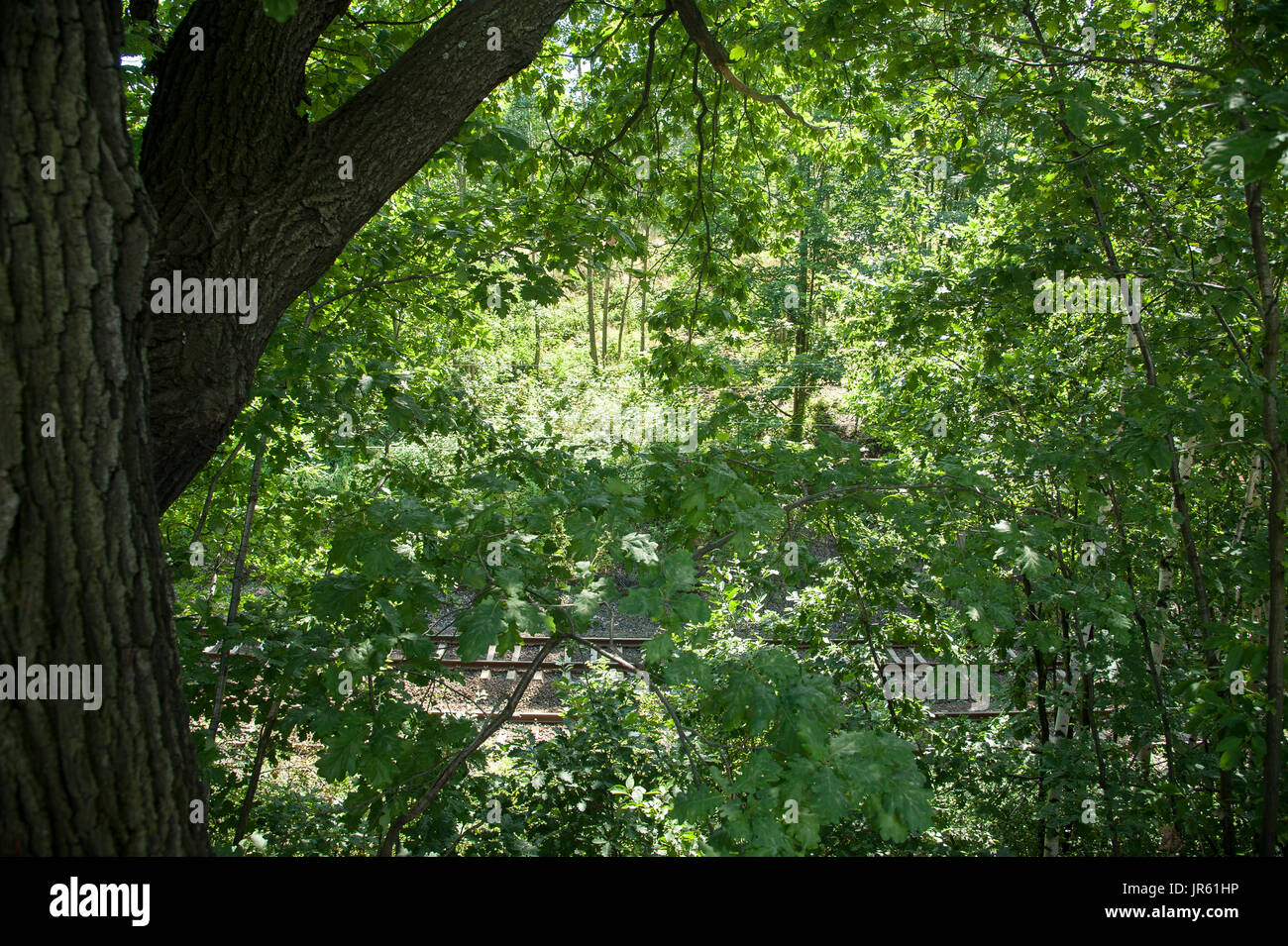 Il sito del creduto mancante oro nazista in treno in Walbrzych, Polonia. 29 luglio 2016 © Wojciech Strozyk / Alamy Stock Photo Foto Stock