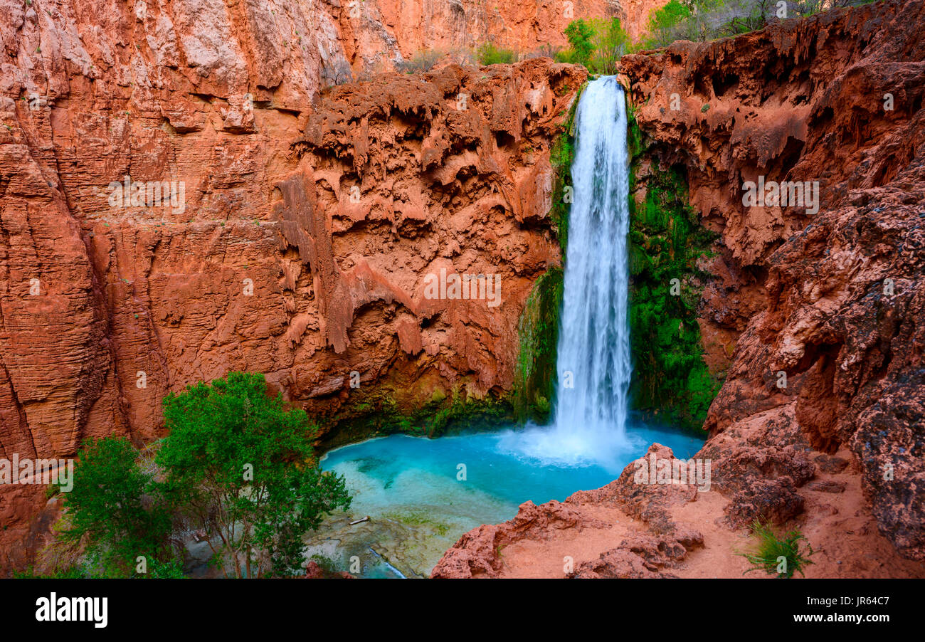 Mooney Falls Foto Stock