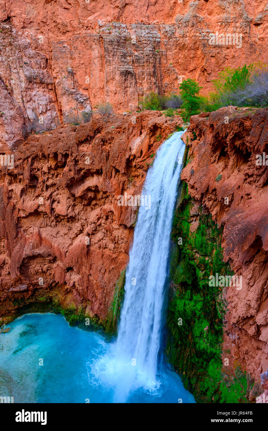Mooney Falls Foto Stock