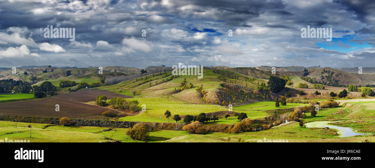 Paesaggio con terreni coltivati e cielo nuvoloso, Isola del nord, Nuova Zelanda Foto Stock