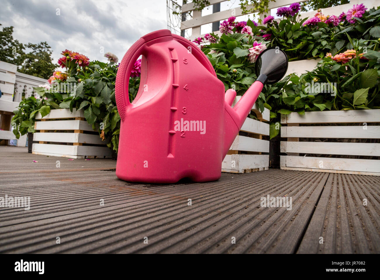 Giardino annaffiatoio sorge in prossimità di un letto floreale di fiori Foto Stock