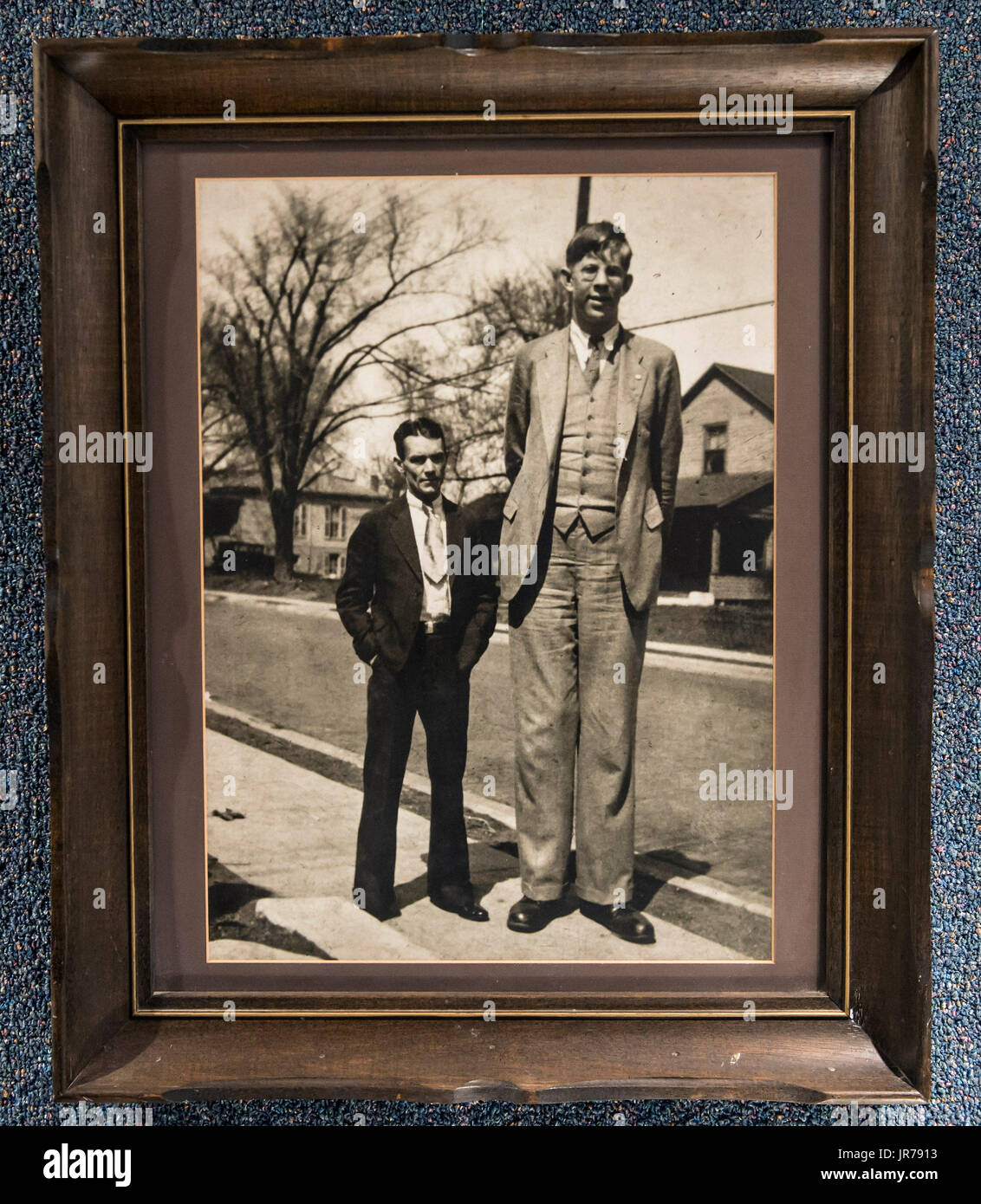 Alton, Illinois, Stati Uniti d'America. 03 Ago, 2017. Una fotografia di Robert Wardlow, le più alte del mondo man a 8'11'', parte di una mostra a Alton Museo di storia e arte. Nato nel 1918 a Alton, Wardlow era un gigante della ghiandola pituitaria che, all'età di nove, era già sei piedi due. Ha brevemente uniti del Ringling Bros Circus, e lui è stato un ambasciatore di benevolenza per l'Internazionale della Calzatura quale società fornito di lui con la sua dimensione 37 scarpe, ma la sua altezza ha causato numerosi problemi medici e morì nel 1940 da una infezione causata da un blister sul suo piede. Credito: Brian Cahn/ZUMA filo/Alamy Live News Foto Stock