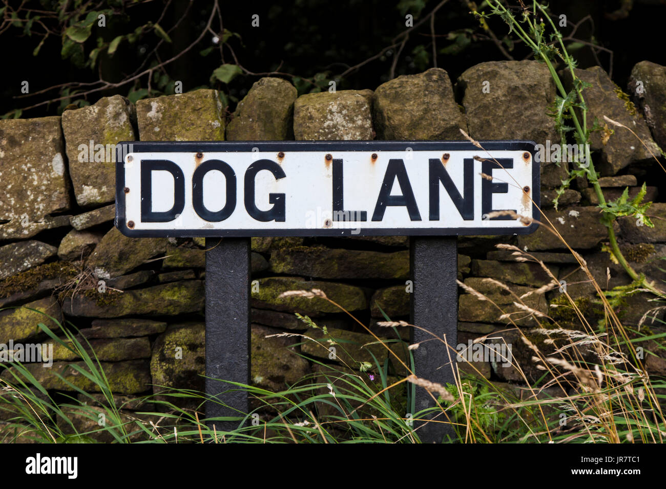 Cartello stradale per cane Lane in Elland, West Yorkshire Foto Stock