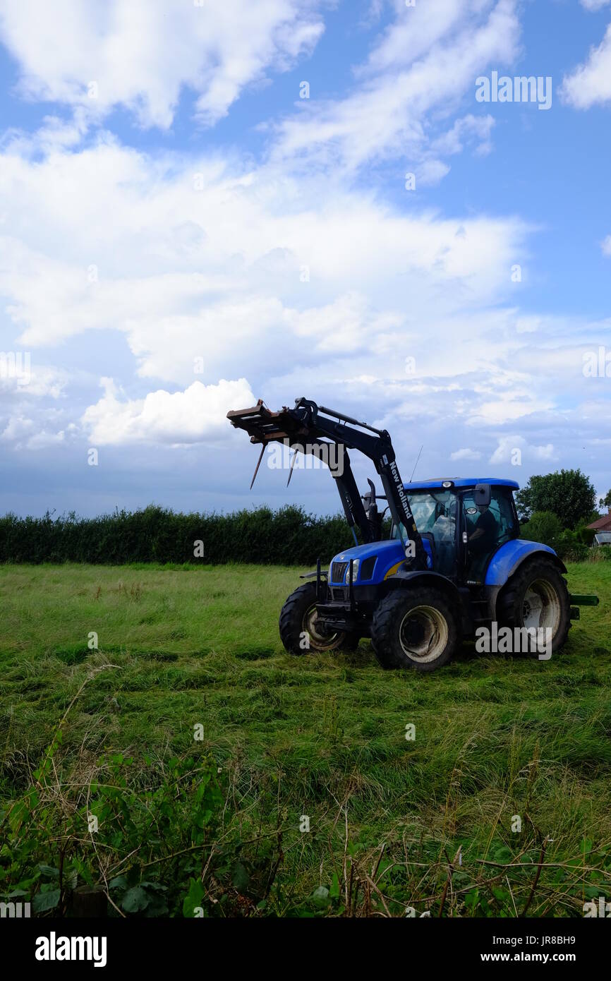 Un trattore il taglio di erba in una fattoria in Lincolnshire, l'erba sarà lasciato a trasformare in fieno. Foto Stock