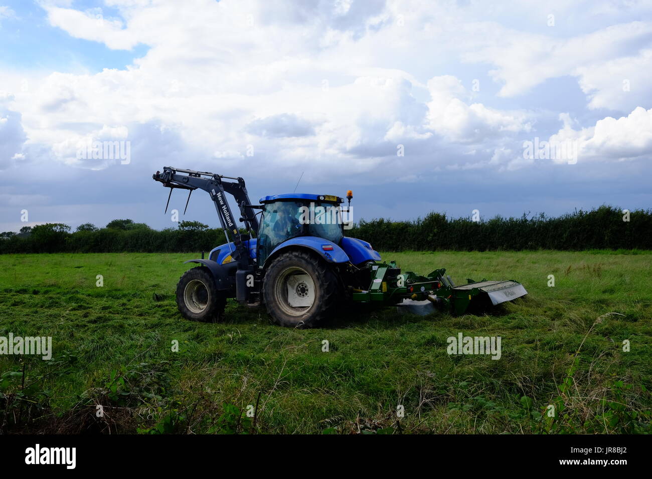 Un trattore il taglio di erba in una fattoria in Lincolnshire, l'erba sarà lasciato a trasformare in fieno. Foto Stock