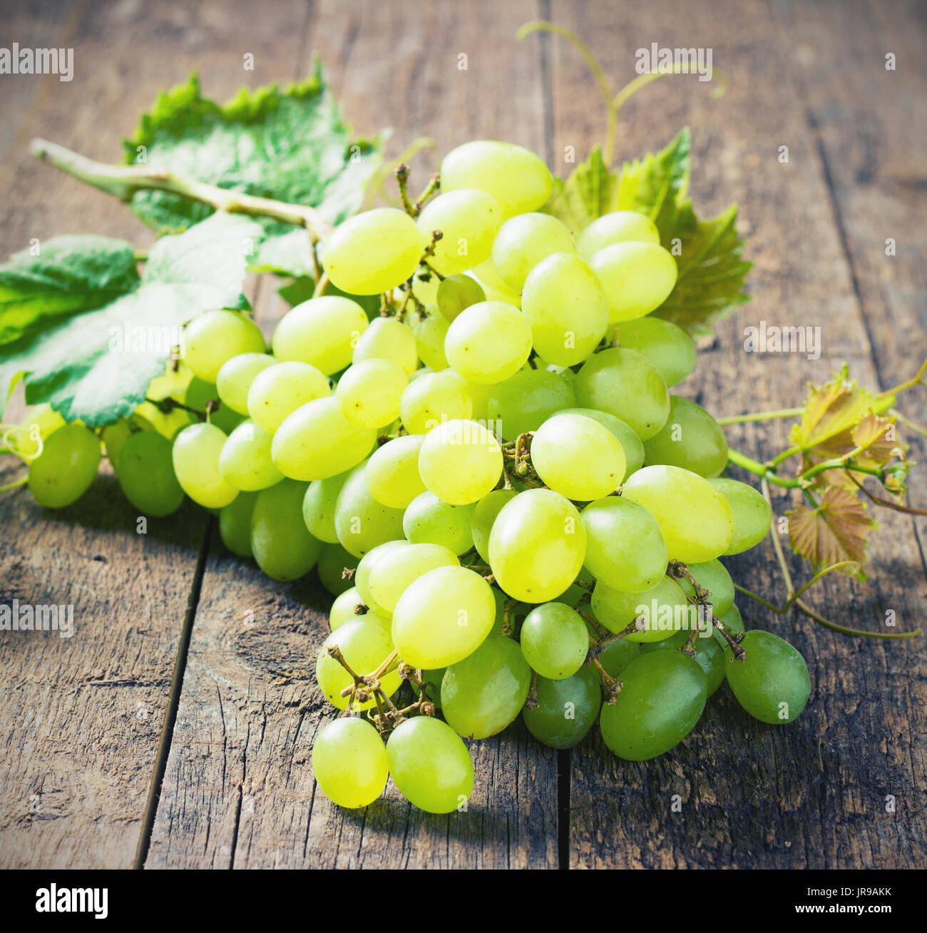 Grappolo di uva verde su sfondo di legno, alimentari closeup tonificante Foto Stock