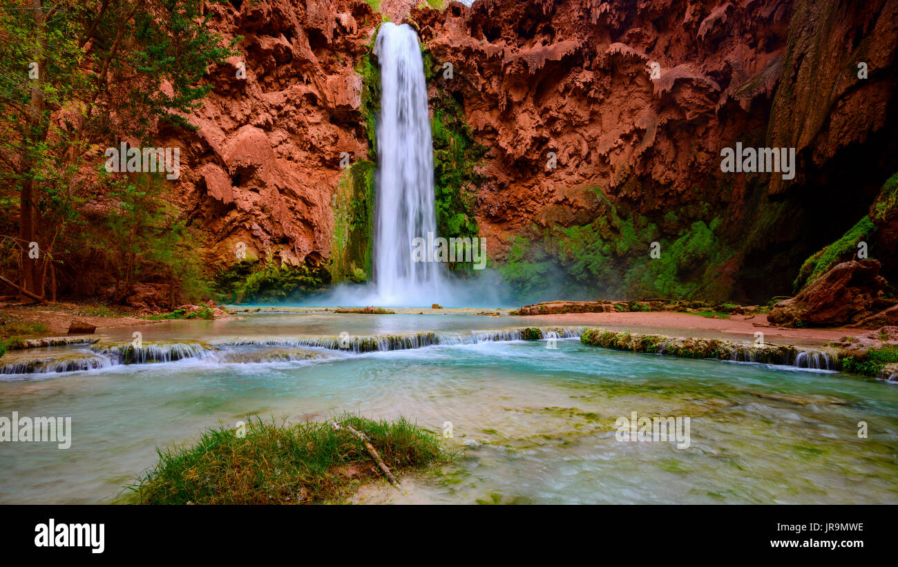 Mooney Falls Foto Stock