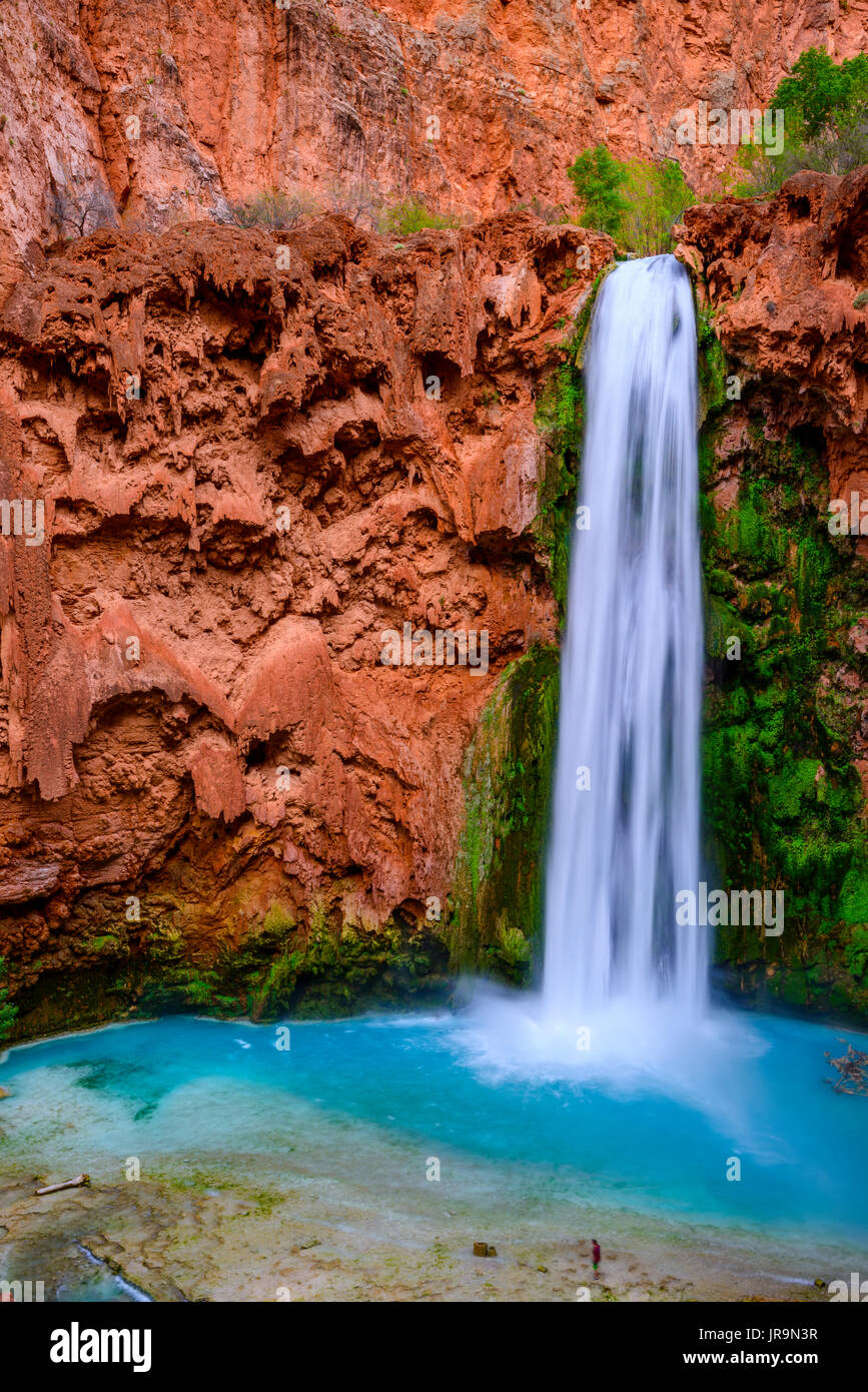 Mooney Falls Foto Stock