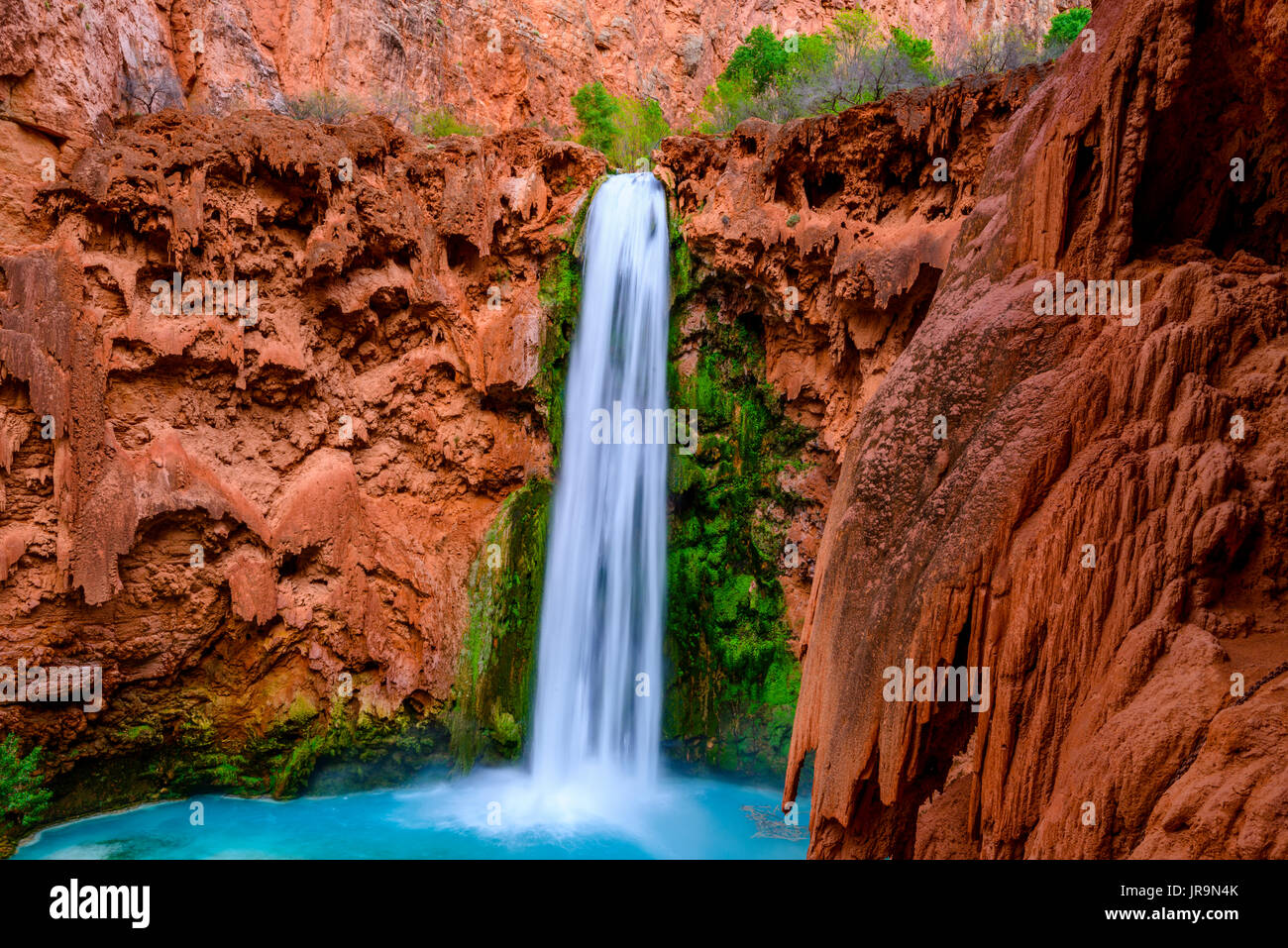 Mooney Falls Foto Stock