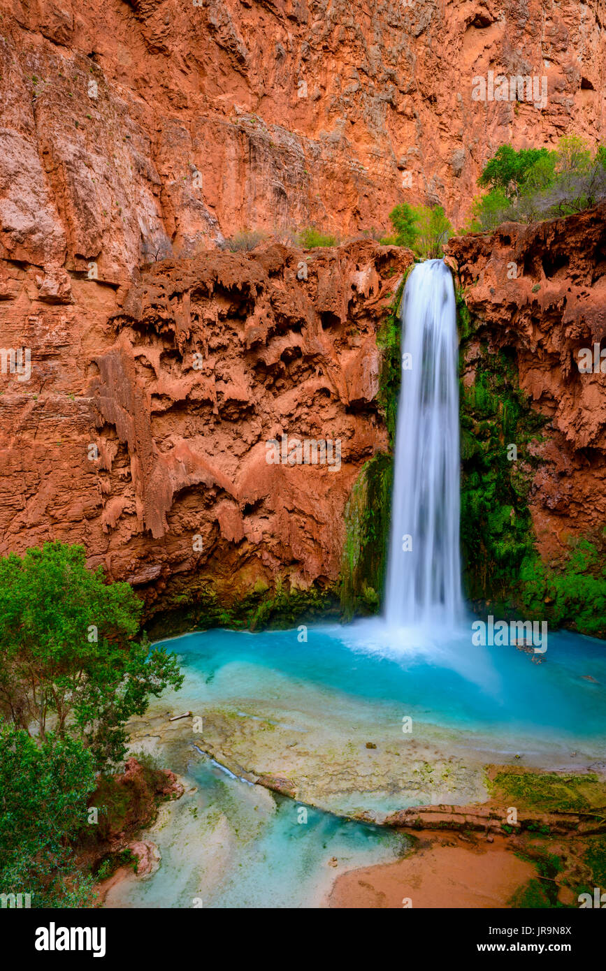 Mooney Falls Foto Stock