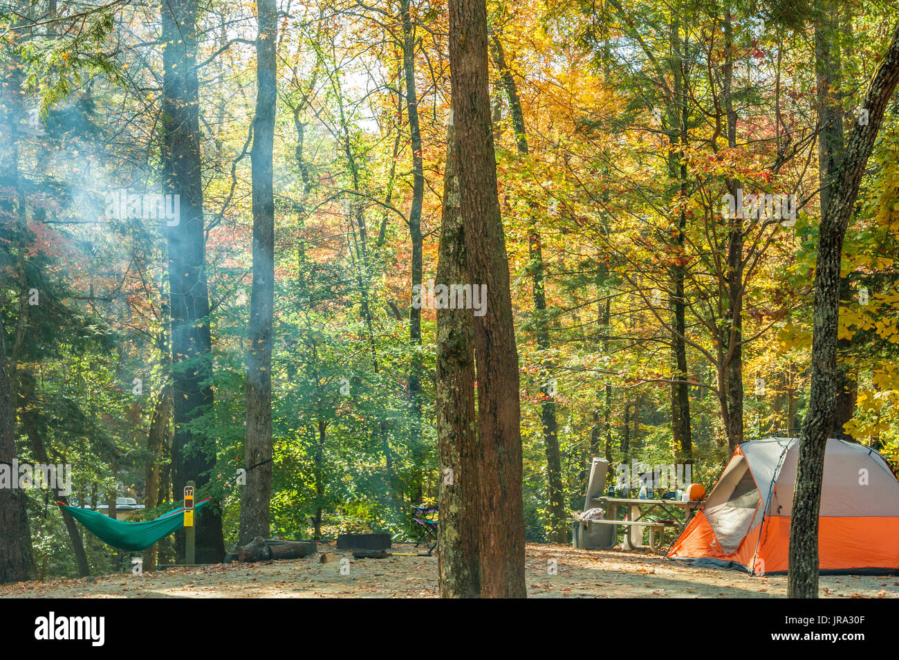 Tenda camper in appoggio in una amaca come fumo di fuoco di accampamento cattura la luce del sole tra gli alberi su una bella mattina di autunno tra le Blue Ridge Mountains. (USA) Foto Stock