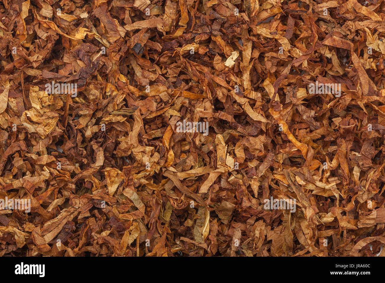Texture di tabacco. Elevata qualità di taglio a secco il tabacco in foglia grande, close up, sfondo Foto Stock