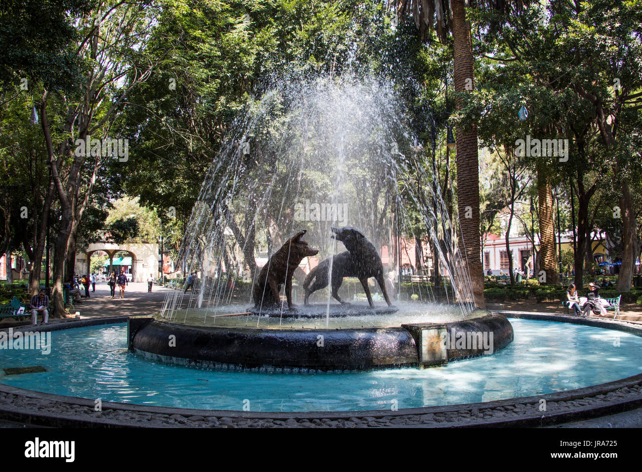 Fuente de Los coyote, Centenario Giardino Jardín Centenario, Coyoacan, Città del Messico, Messico Foto Stock