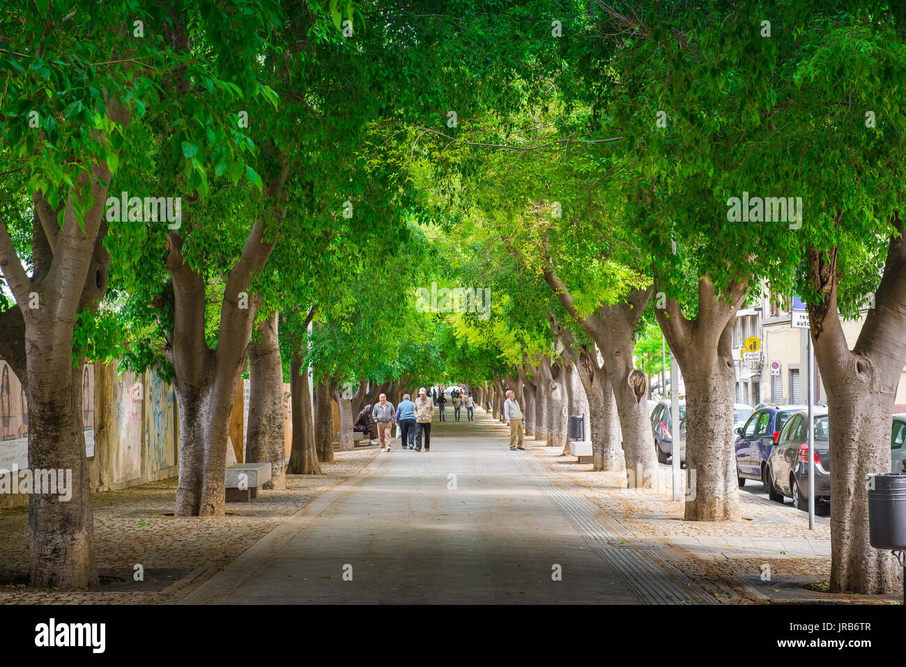 Sassari Sardegna street, il viale alberato di corso Francesco Vico, una strada popolare per le escursioni estive a Sassari Sardegna del nord. Foto Stock