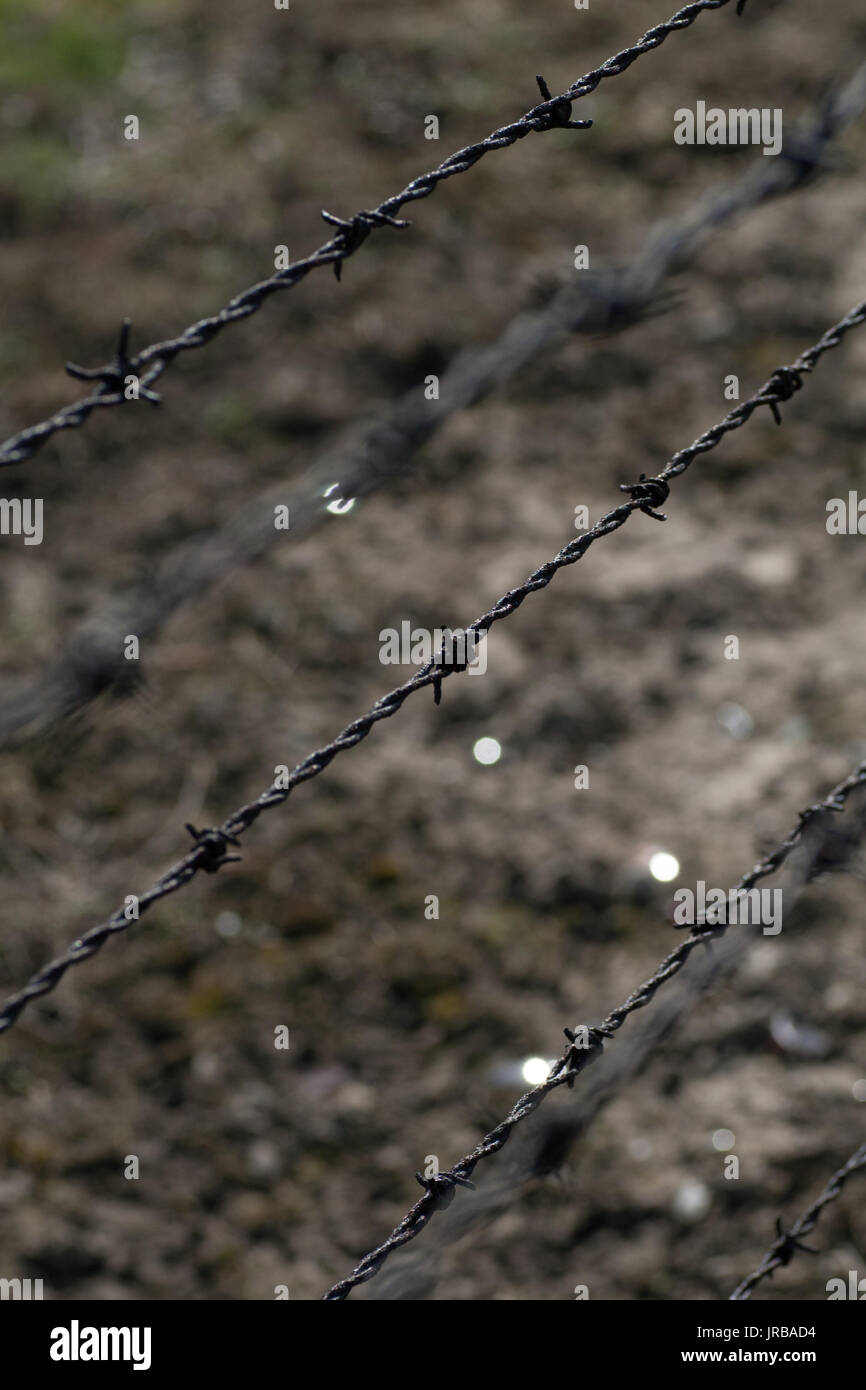Close up di elettrico del filo spinato nell'ex campo di concentramento nazista DI AUSCHWITZ-BIRKENAU, oswiecim brzezinka, Polonia Foto Stock